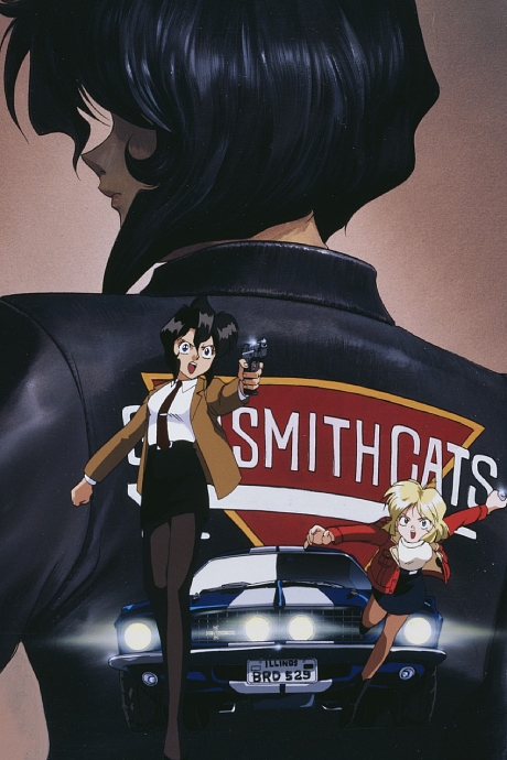 Gunsmith Cats Cover