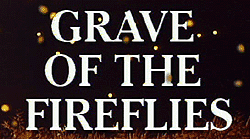 Grave of the Fireflies 2001 Capture
